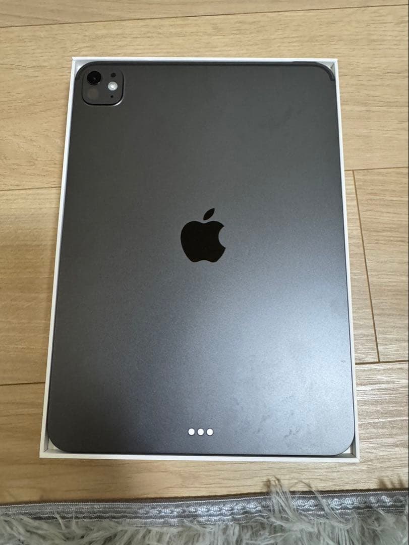 iPad Pro 11インチ M5 256GB