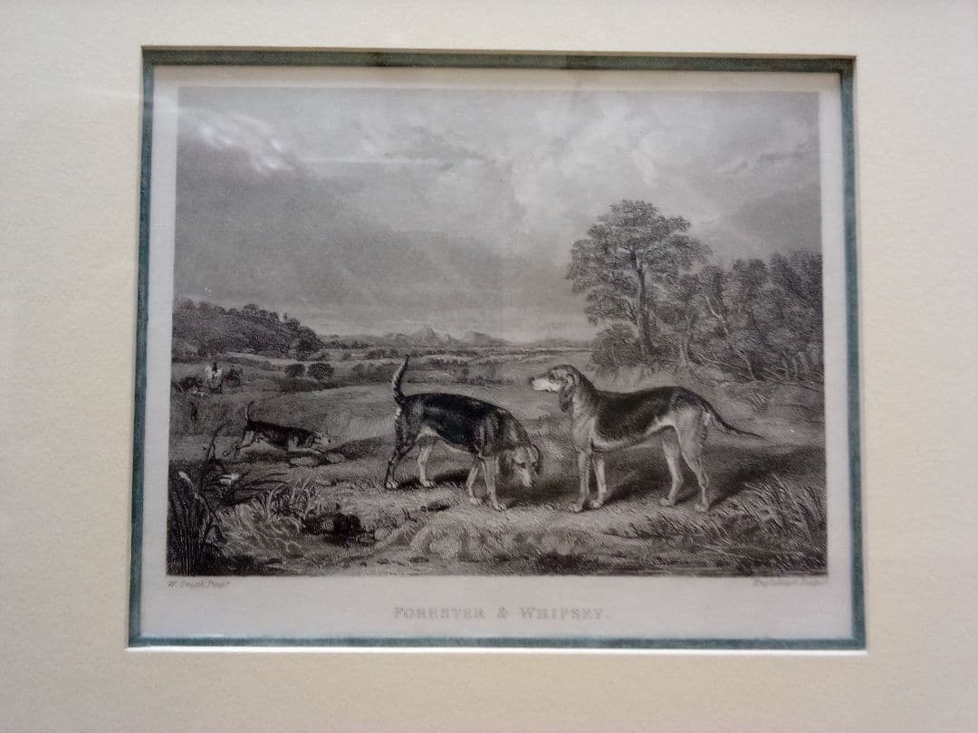 イギリス 銅版画 (エッチング技法) の額装品 猟犬