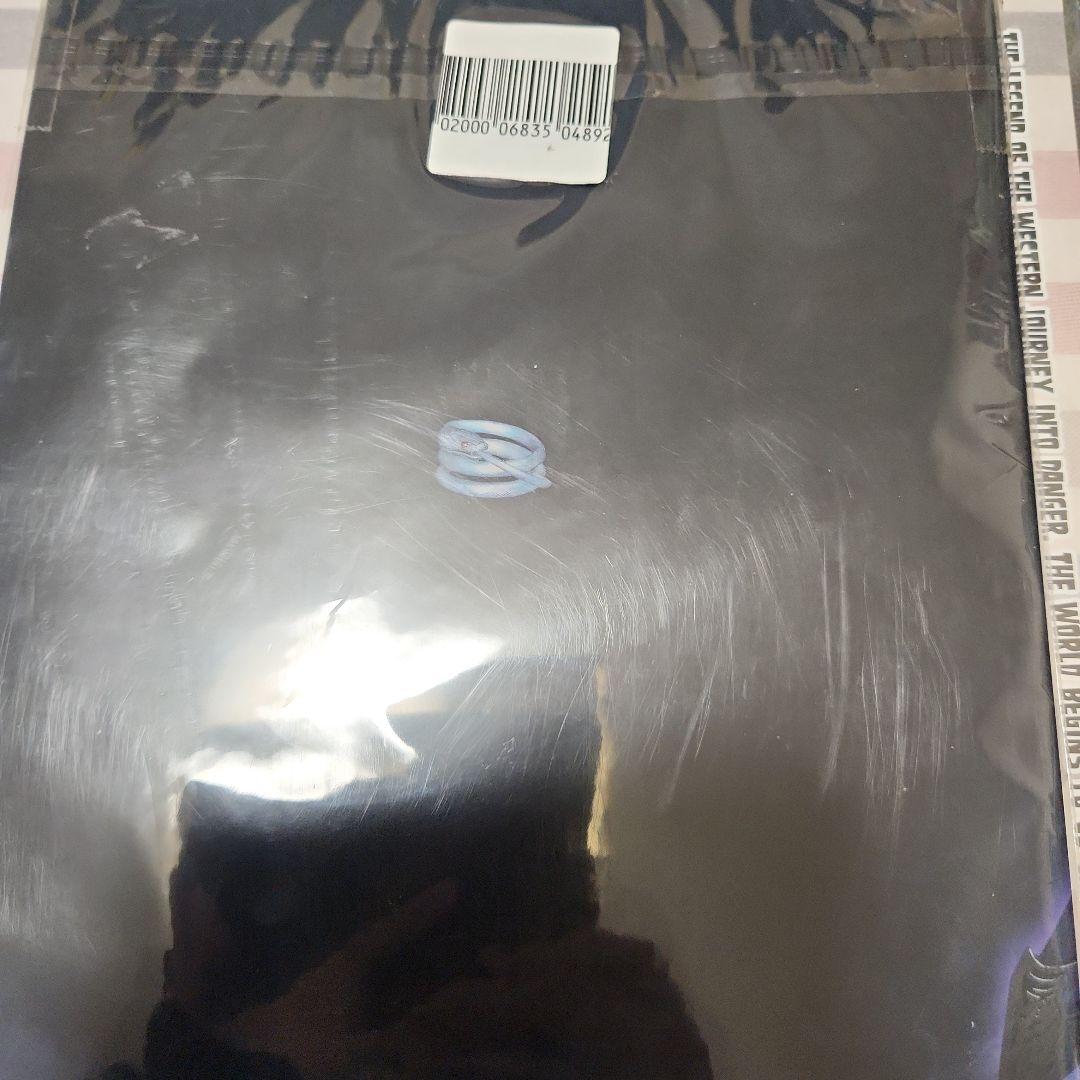 三國無双8 無双OROCHI3 クリアファイル ルーズリーフ