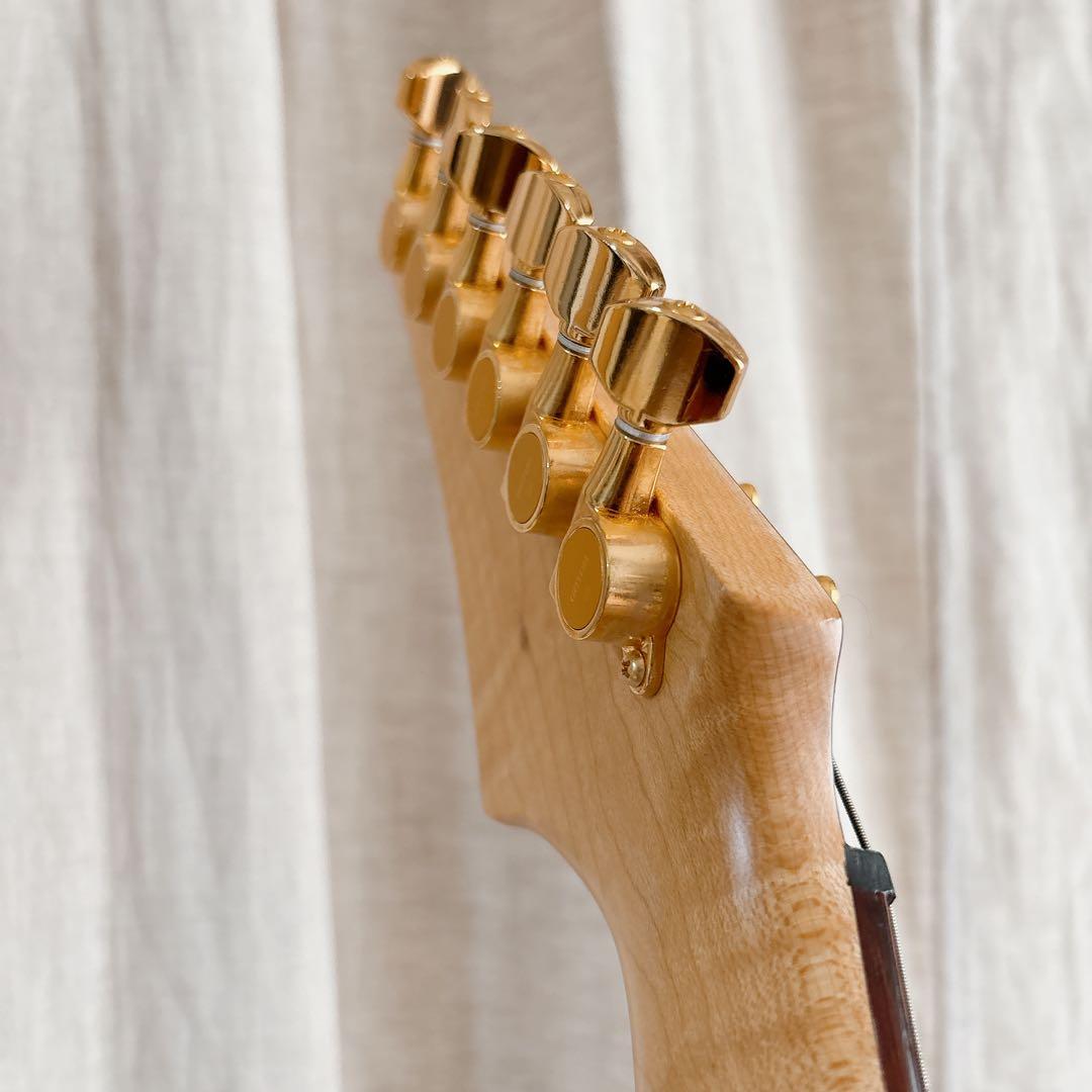 FERNANDES FA-10 エレキギター アーム付 説明書・ストラップ付