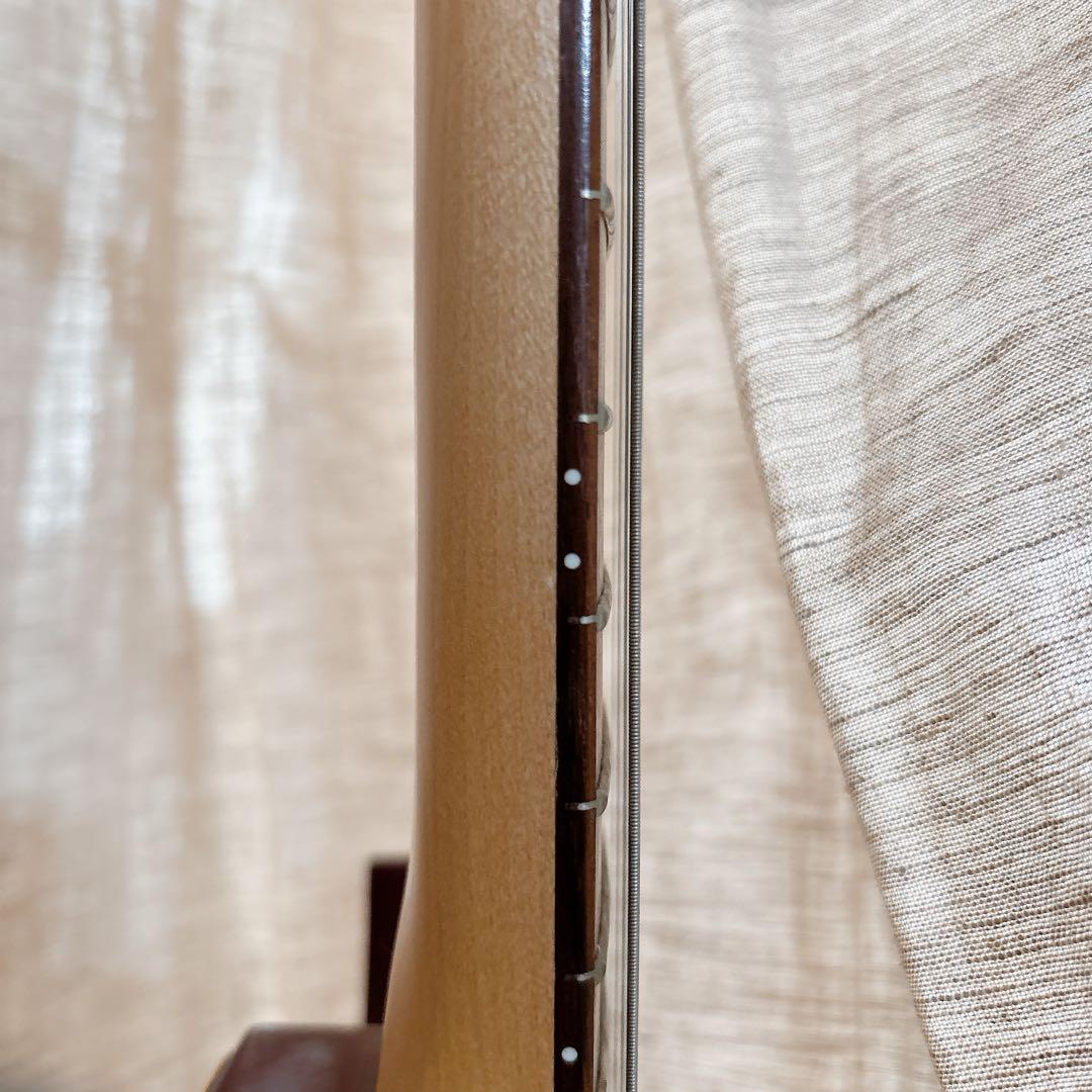 FERNANDES FA-10 エレキギター アーム付 説明書・ストラップ付