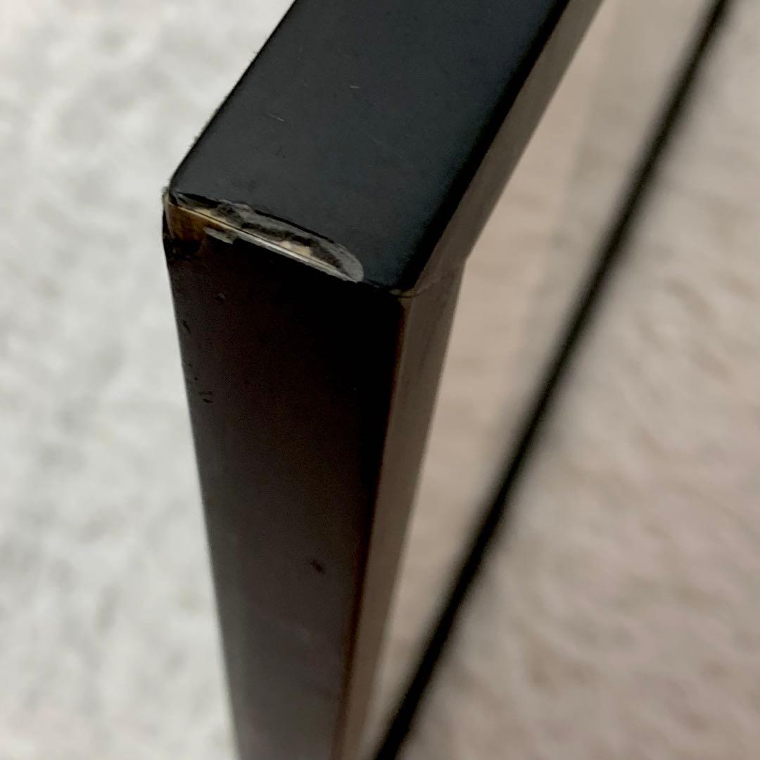 コンラッドリーチ ツイッギー シルクスクリーン 額装入り ポップアート