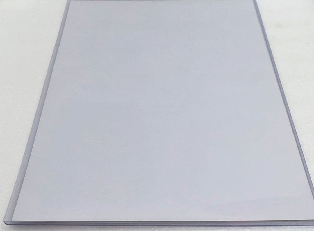 【激レア】　大親友　大島永遠　ポスター　複製サイン入り　特典限定品　百合　希少