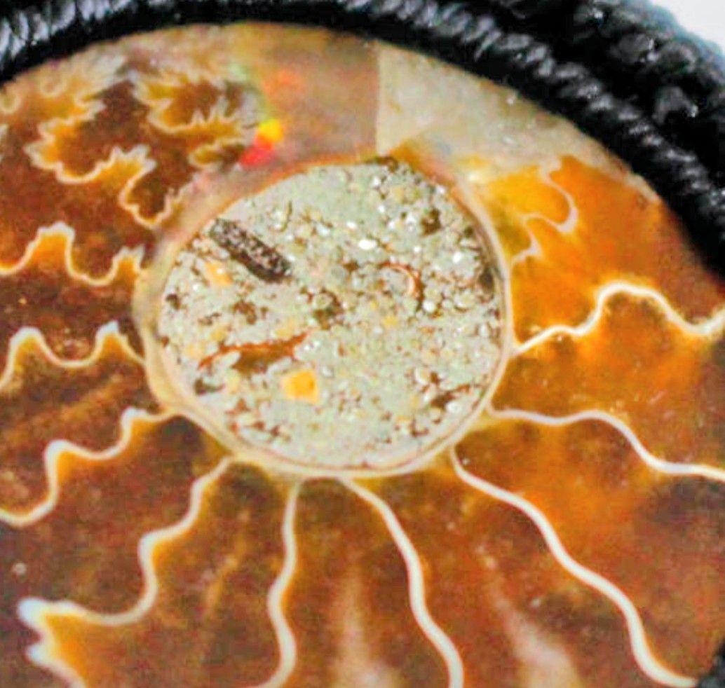 アンモナイト化石 マクラメネックレス