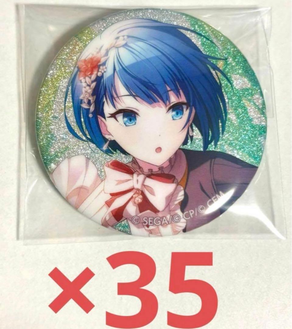 遥 缶バッジ35点セット