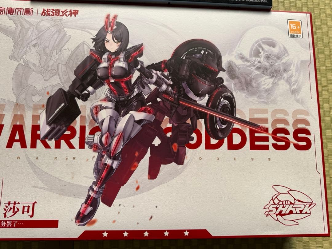 中華キットセット