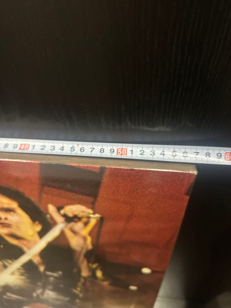 ★レア★ 矢沢永吉　木製パネル