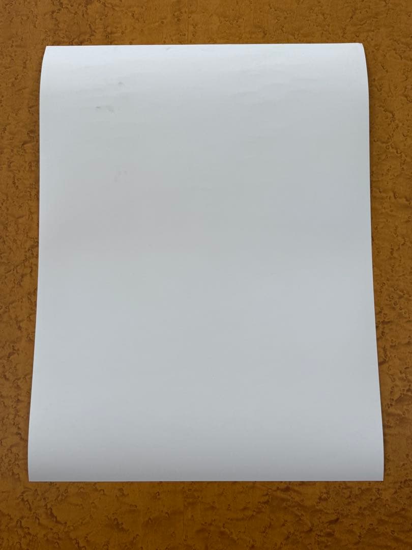 【新品】激レア　奈良美智　FireAid ポスター①