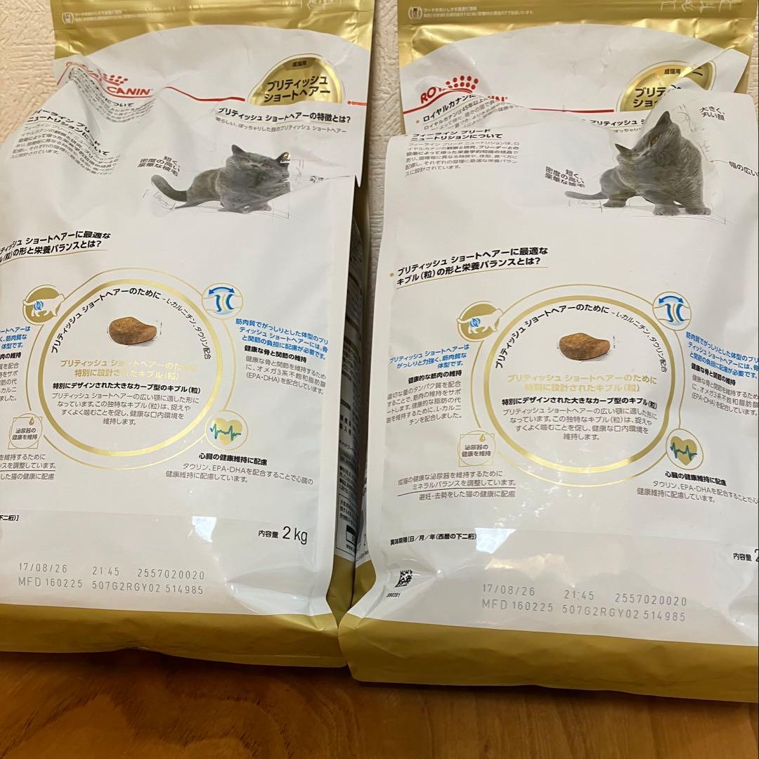 ロイヤルカナン　ブリティッシュショートヘア