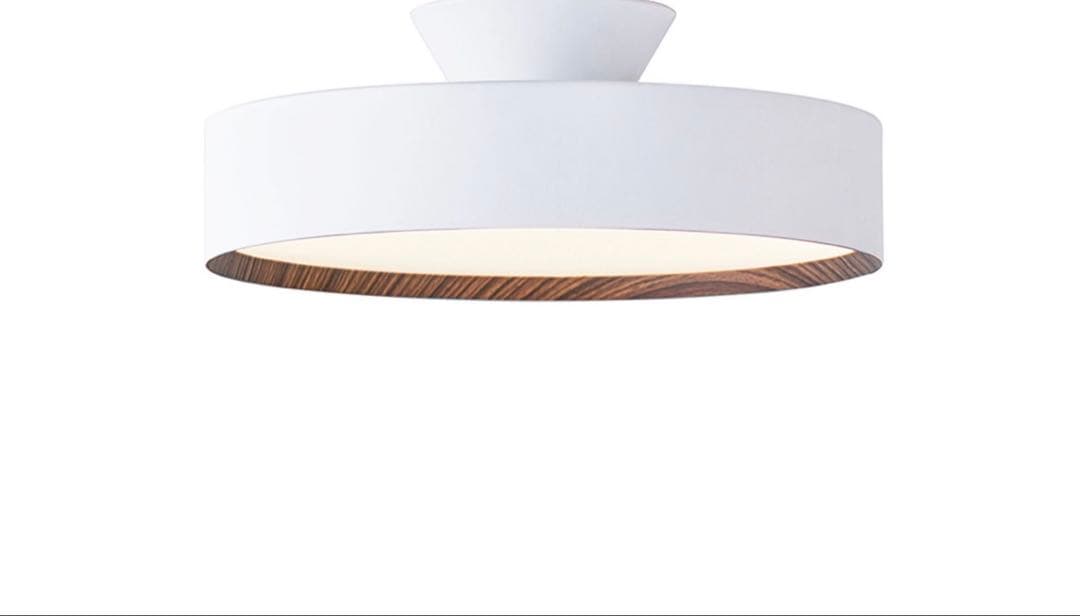 ART WORK STUDIO LED シーリング ランプ