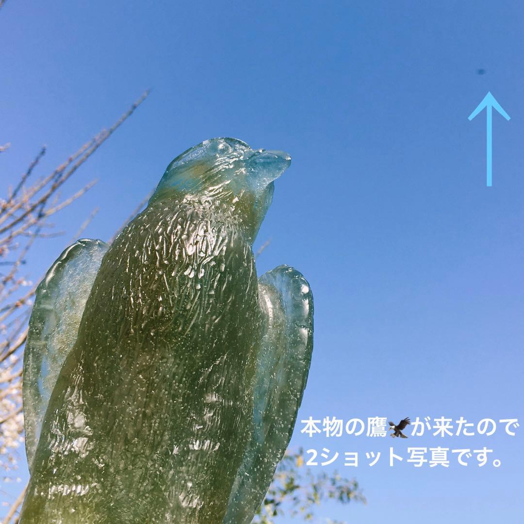 ハヤブサ　鷹　ドーム　フランス　クリスタル　水晶　エミールガレ　フランス製ガラス