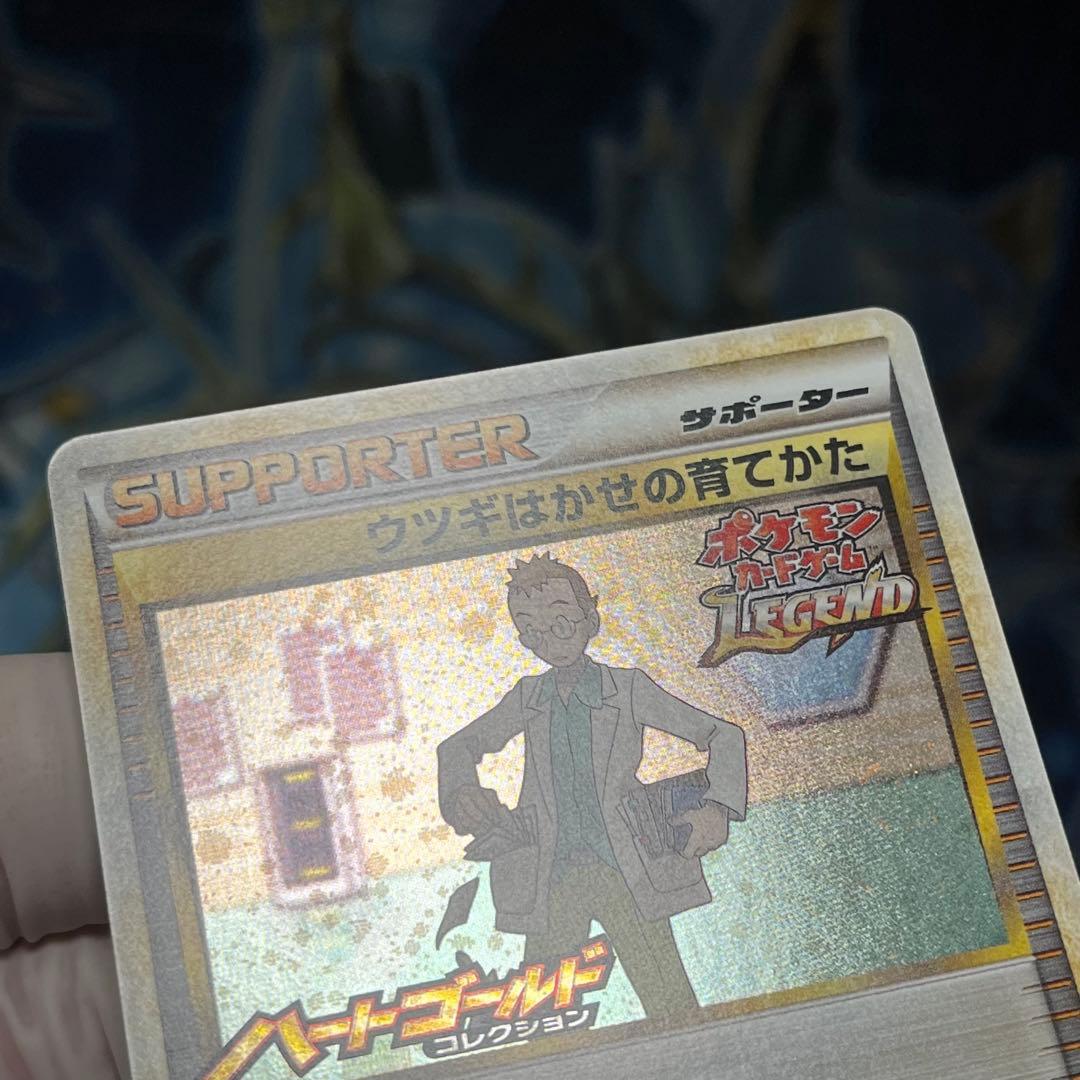 【極美品】大会入賞プロモ　ウツギはかせの育てかた　023/L-P