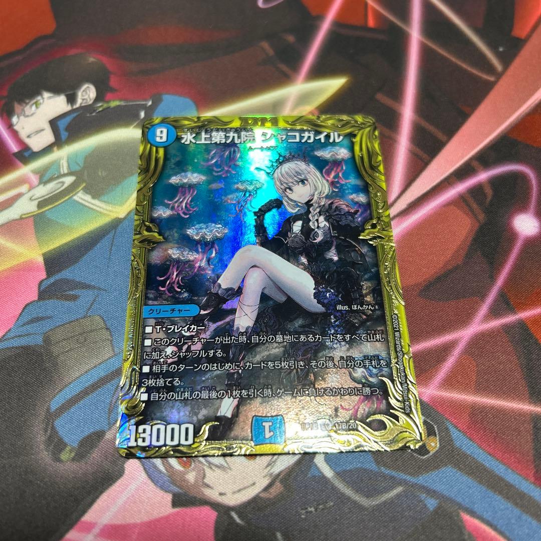 シャコガイル　b