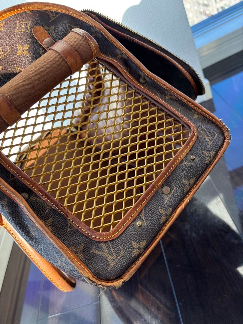 Louis Vuitton モノグラム キャリーバッグ