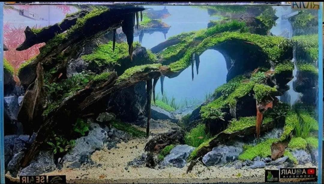 TTD 45【⭐︎ BNP様⭐︎】【美品・数量限定】