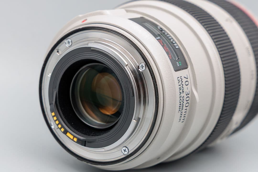 レンズ(ズーム) Canon EF70-300mm F4-5.6 L IS USM