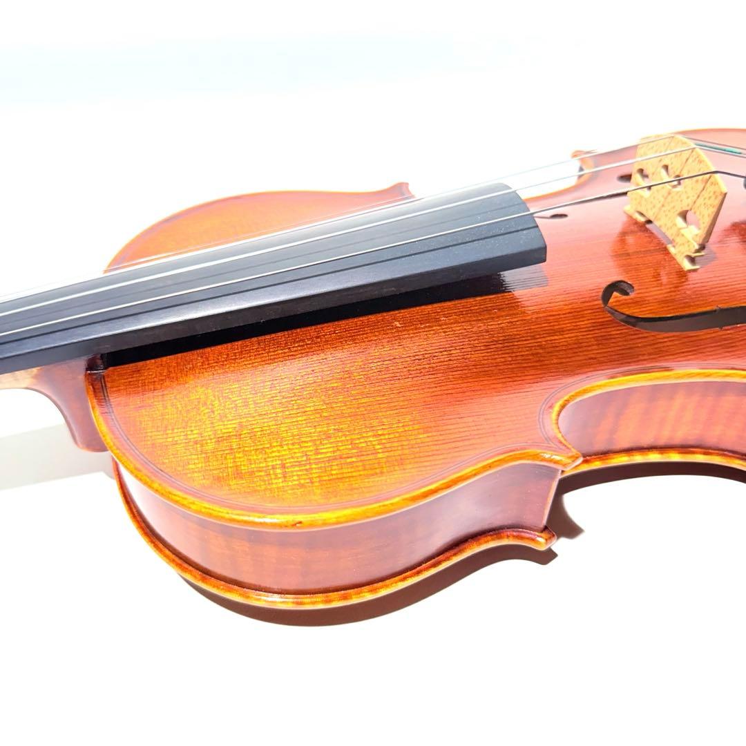 マンモス Pygmalius Derius Giappones 4/4