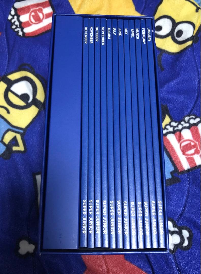 SUPER JUNIOR シーグリ　2018