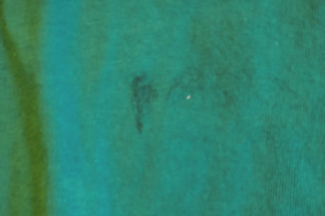 セカオワ 深瀬着用 超貴重 Blink-182 16ツアー スタッフTシャツ 緑