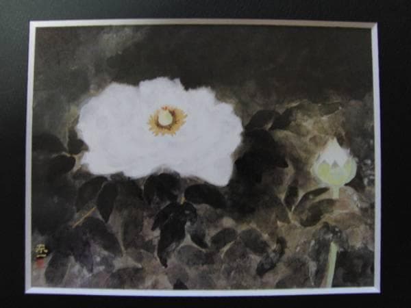 加藤 東一、白牡丹、希少な額装用画集より、新品高級額装付、状態良好