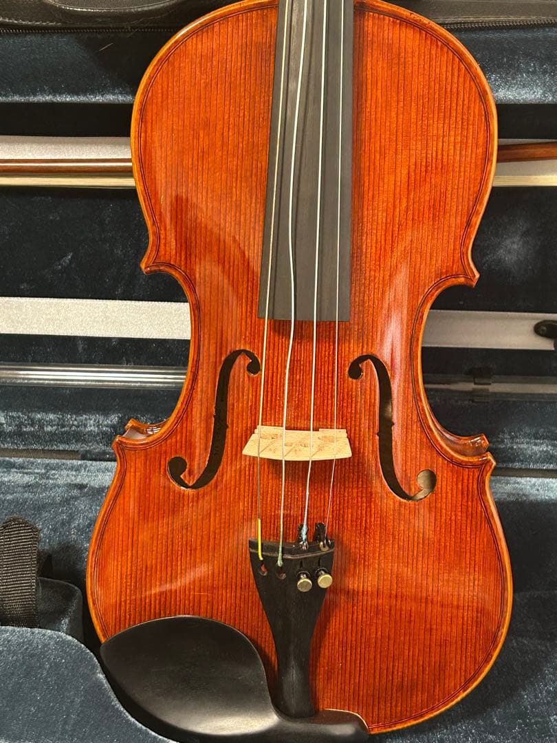 Carlo giordano カルロジョルダーノ VS-3 4/4 初心者セット