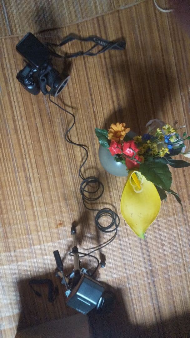 Canon EOS 1V フィルムカメラ、レンズ、ストロボ、三脚、他、セット