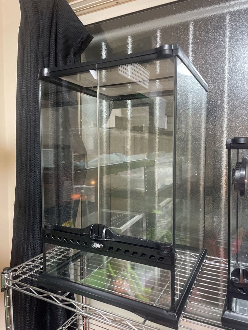 GEX EXOTERRA グラステラリウム3045 PT260 おまけ付き