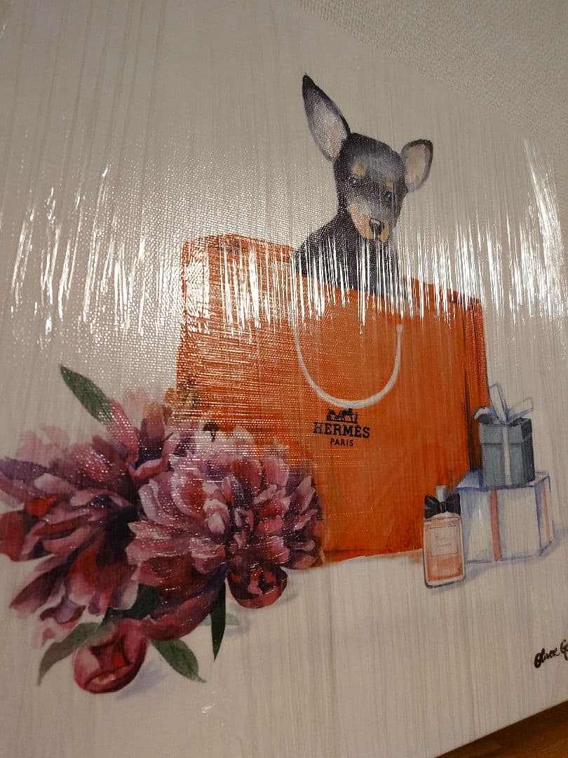 新品 オリバーガル ORANGE CHIC CHIHUAHUA