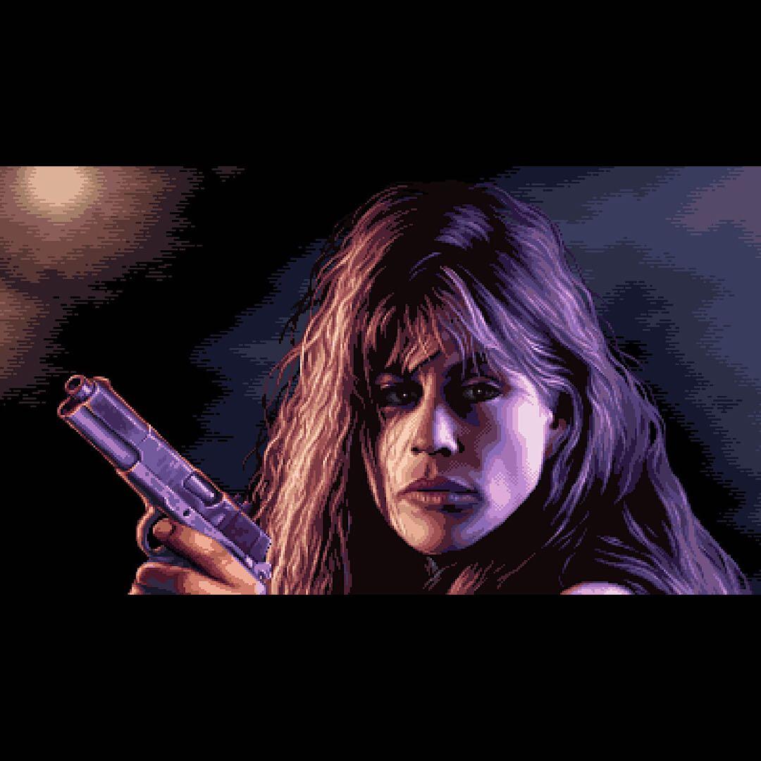 ターミネーター 2D Terminator 2D No Fate switch