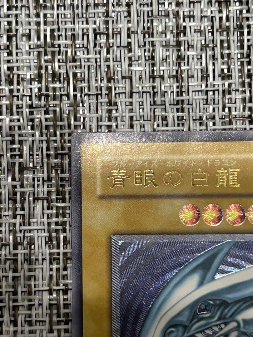 青眼の白龍 レリーフ 青艶