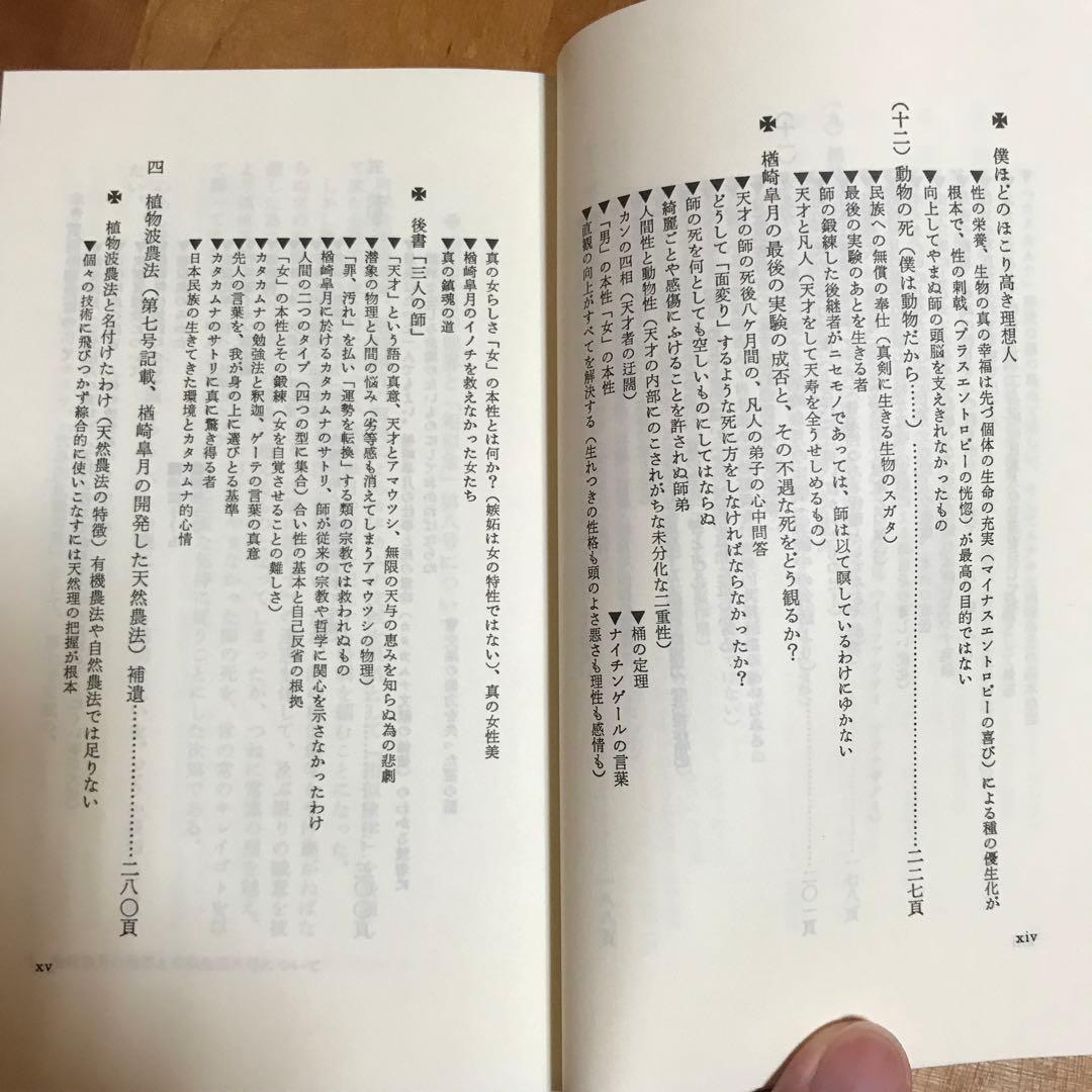 相似象学会誌　相似象　第八号