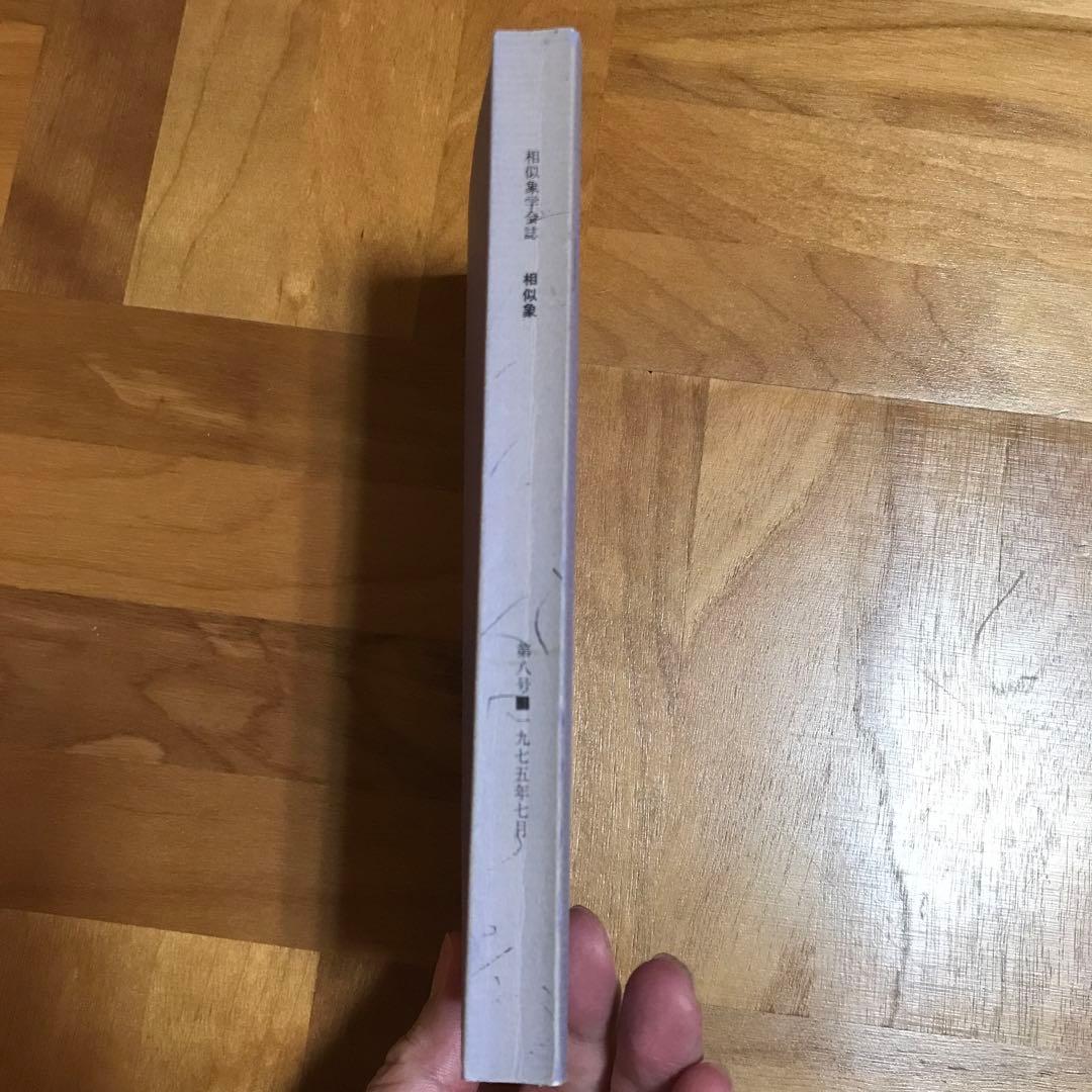 相似象学会誌　相似象　第八号