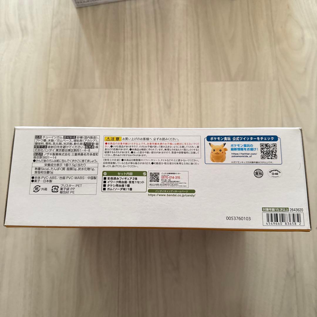 ポケモンスケールワールド タケシ&イワーク