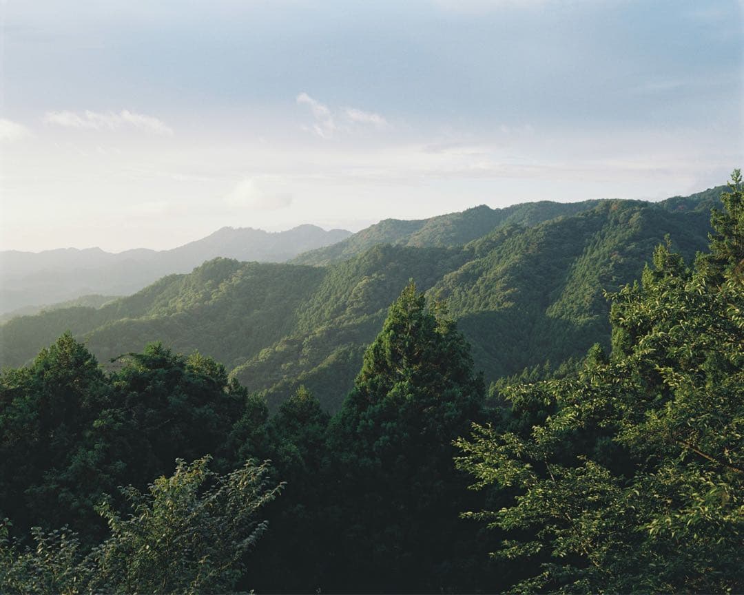 【作例有】Plaubel Makina 67 1年前にOH オーバーホール済