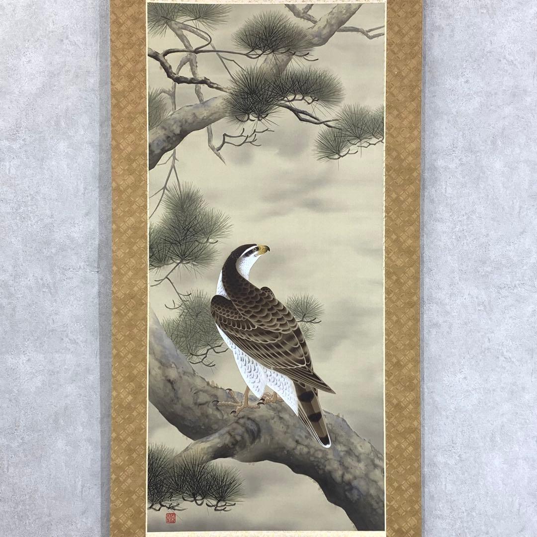 掛軸 斉藤栄昌 松に鷹 共箱 二重箱 花鳥図 無病長寿 繁栄 縁起物 E-6