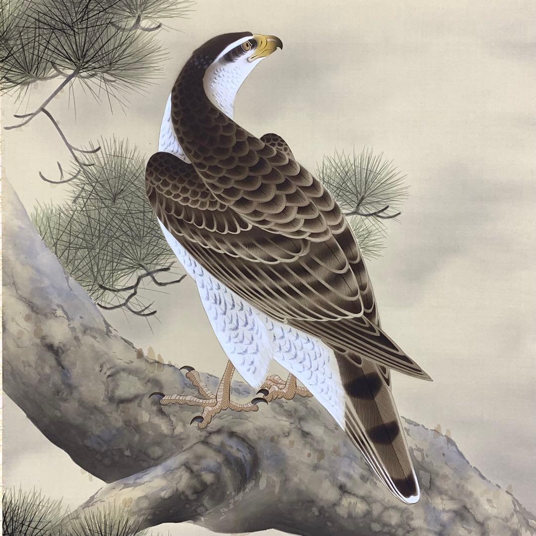 掛軸 斉藤栄昌 松に鷹 共箱 二重箱 花鳥図 無病長寿 繁栄 縁起物 E-6