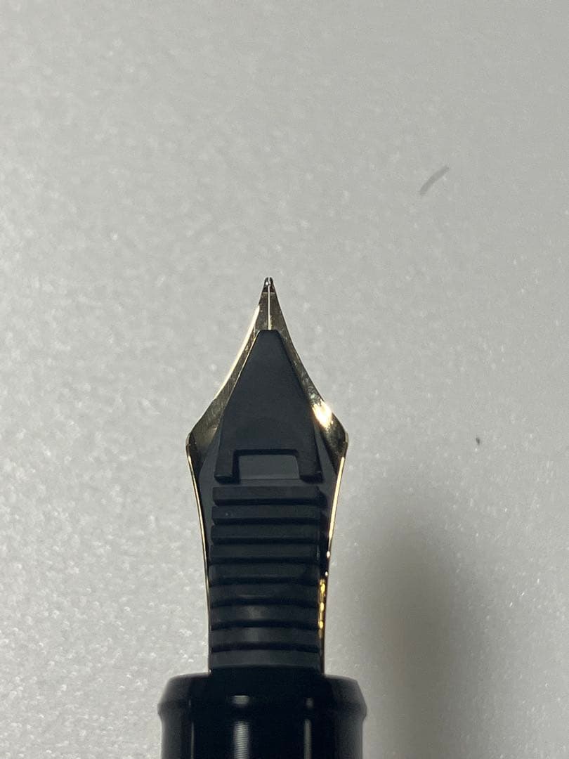 PLATINUM　#3776　センチュリー　ブラックインブラック　SF-nib