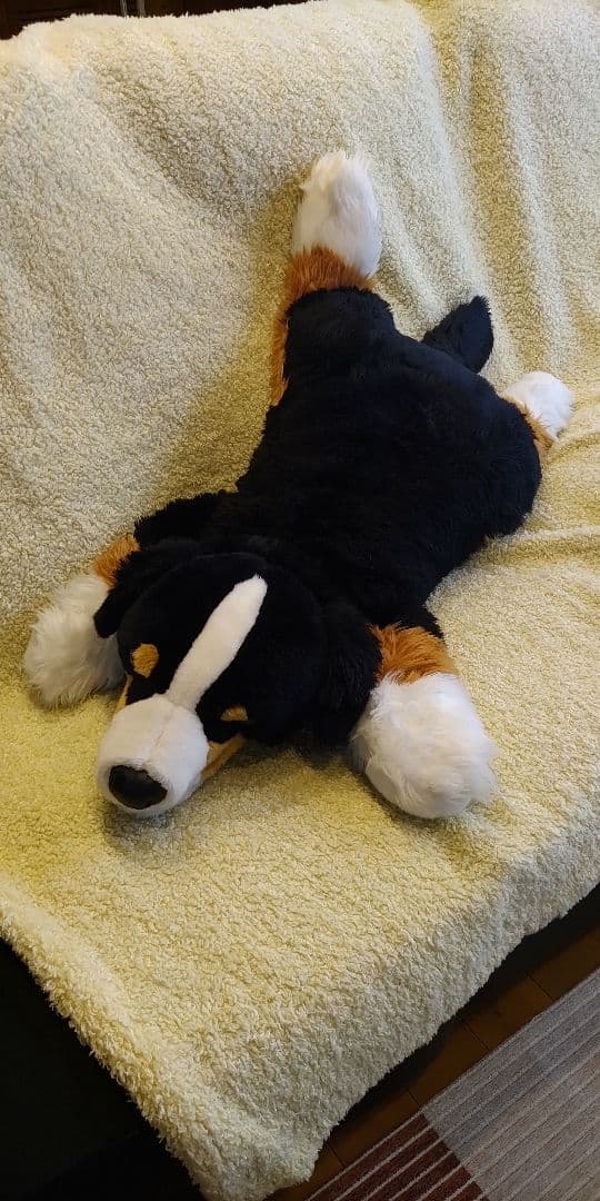 ハッピー★バーニーズマウンテンドッグ　特大ぬいぐるみ