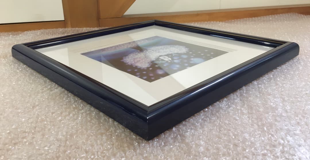 ○[作品極美品 藤城清治 ダイヤモンドスクリーニング 光の夢 本人直筆サイン