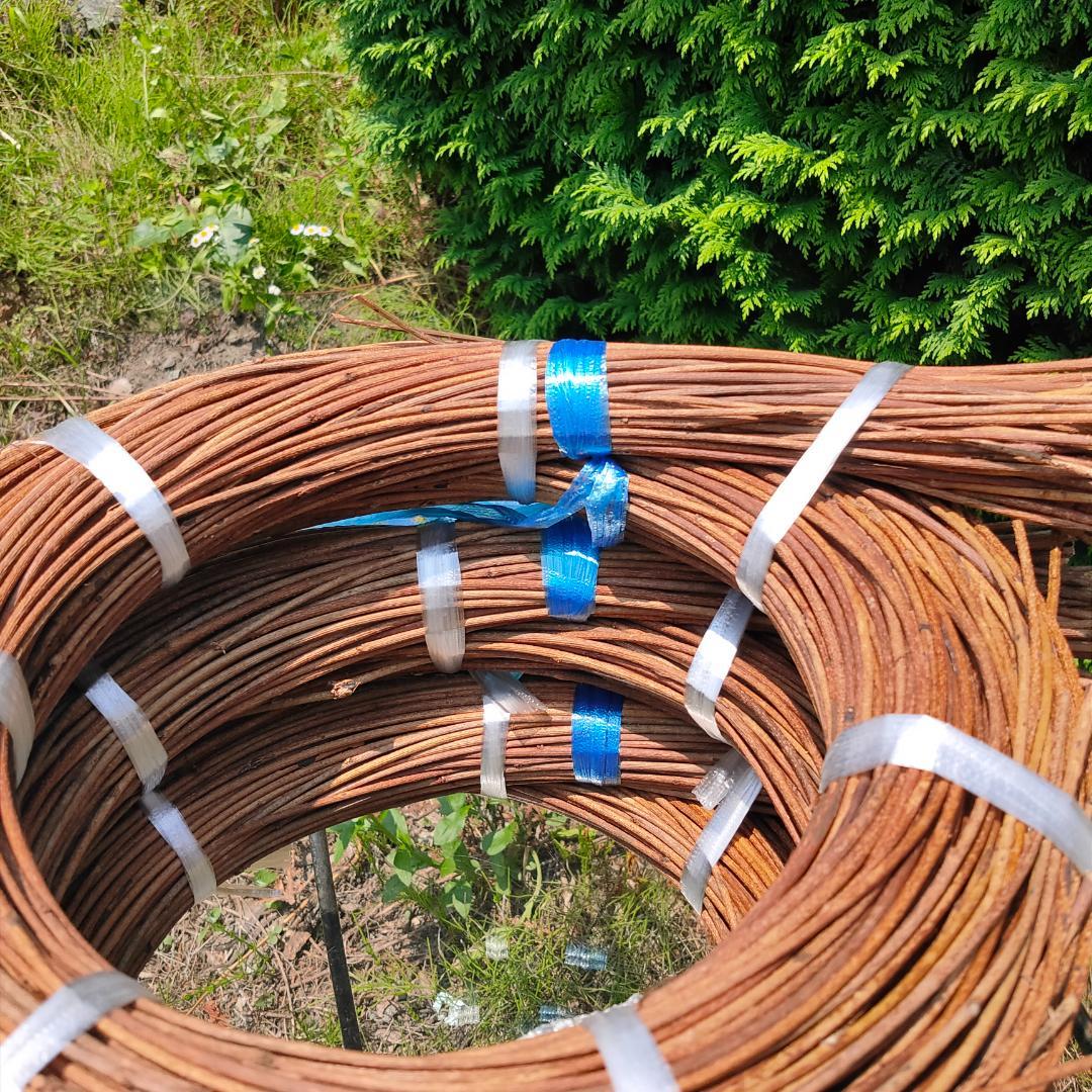 (委託品)青森県岩木山採取　あけび蔓　150cm～　3kg