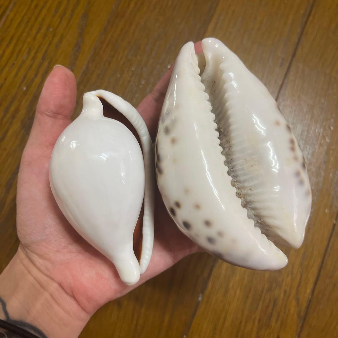 まーくんさん専用