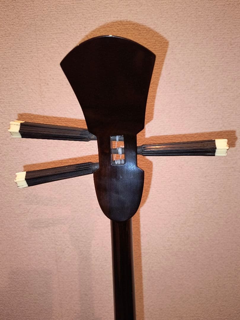 三線 本体 蛇皮 強化張り ソフトケース付き