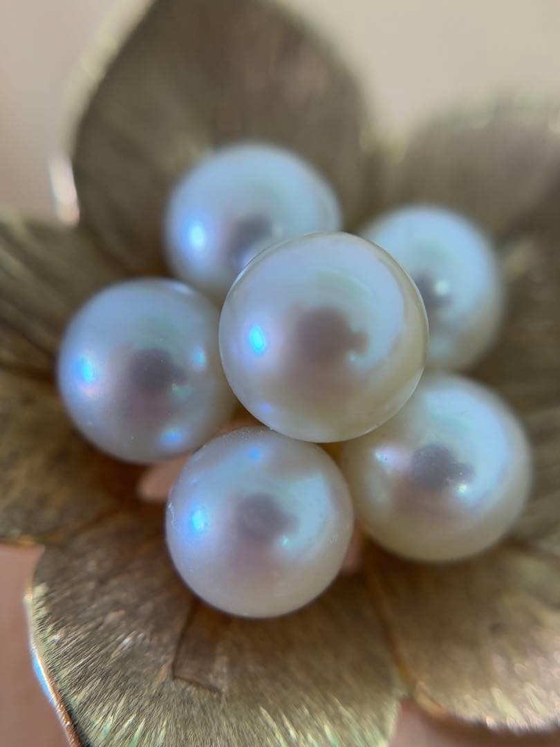 MIKIMOTO K14パールブローチ