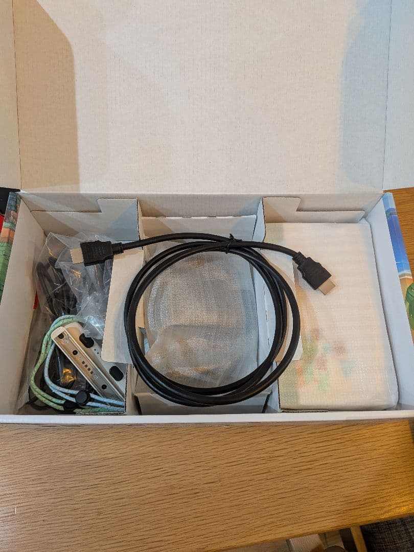 Nintendo Switch 本体 どうぶつの森