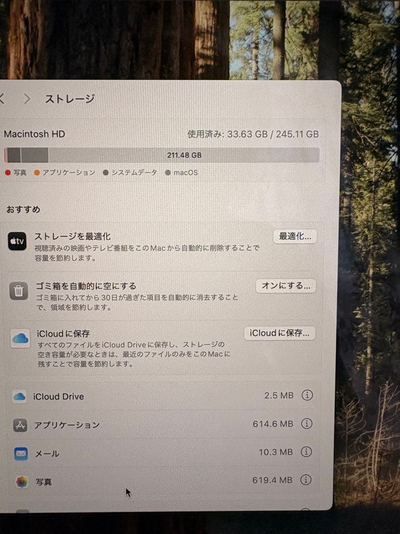 MacBook Air M3【即購入値下げ可】