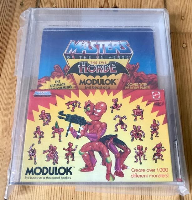 特撮 MOTU Masters of the Universe He-Man AFA