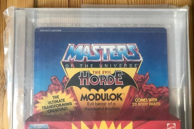 特撮 MOTU Masters of the Universe He-Man AFA