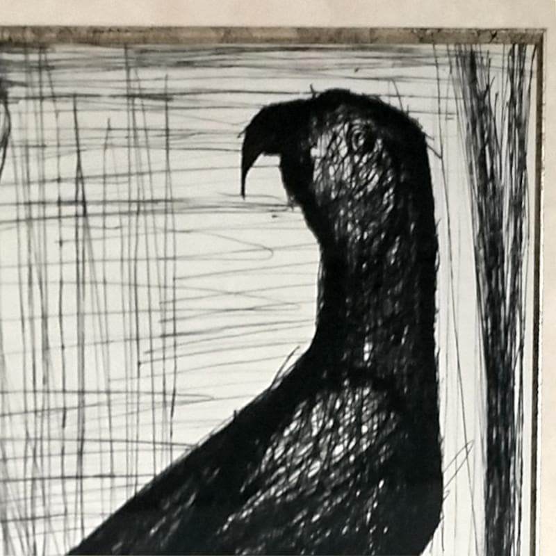 ☆ビュッフェ☆「 鳥 」リトグラフ　ed 70/75 良好！