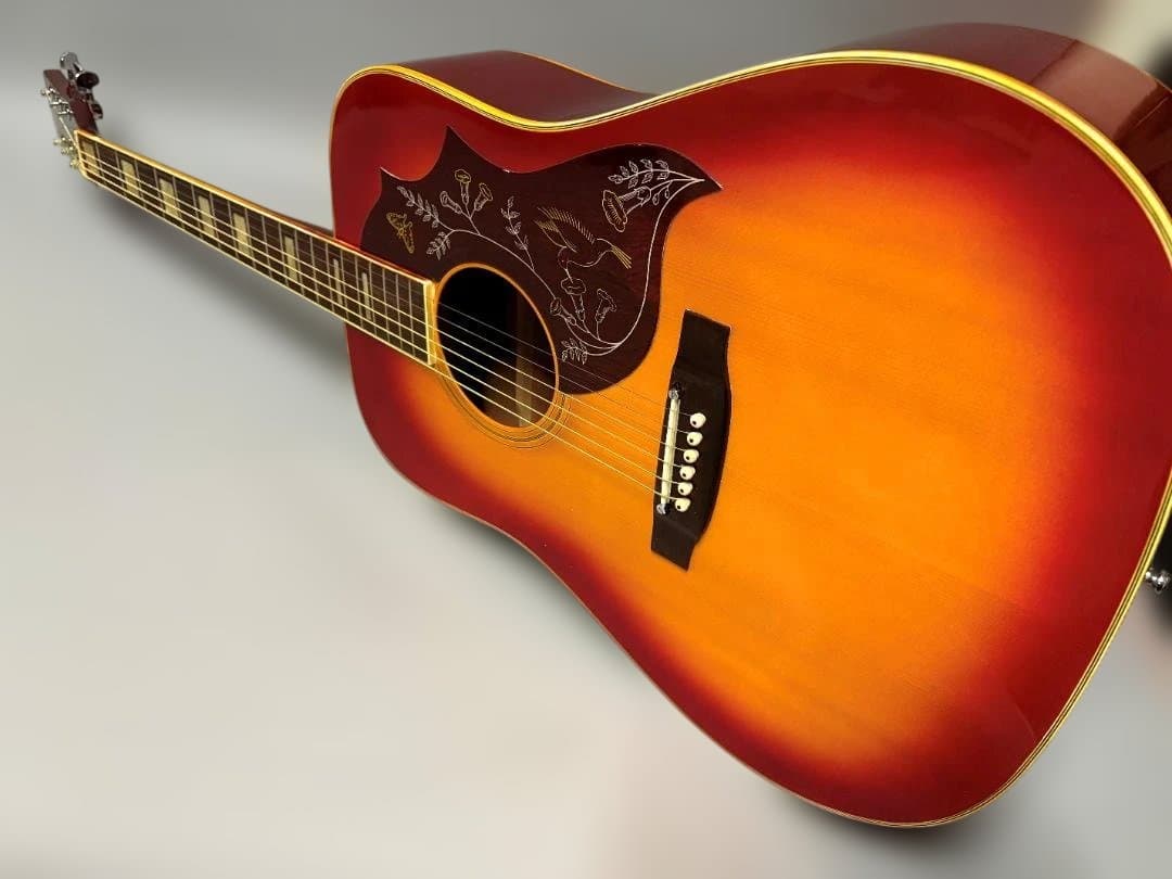 ケ*ジ様 ★タカミネ・ハミングバード！エリート・カスタム HM-25 超ジャキ鳴