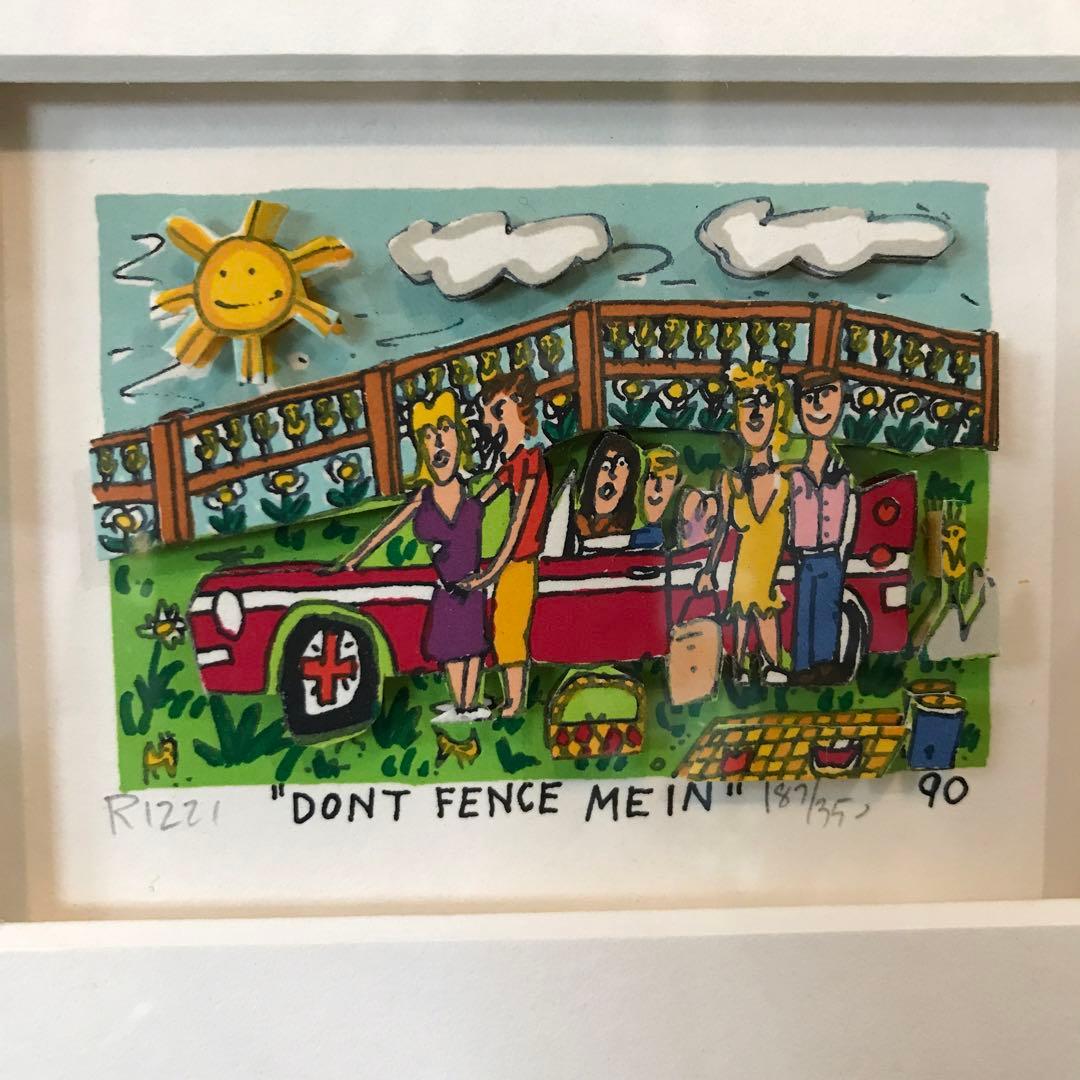 ジェームスリジィ DON’T FENCE ME IN 90’ 3D 特別額装